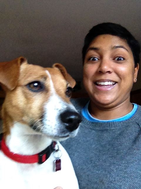 Meg the jack russell